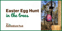 Easter Egg Hunt 2022 eventvesta 200x100